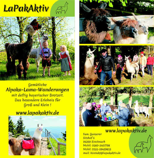 LaPakAktiv_Flyer