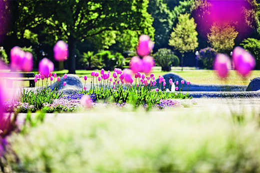 Kurpark