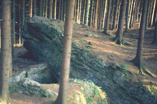 bild-15725018
