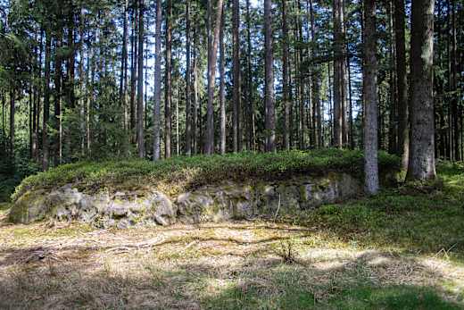 mtb10_16 Steinerner Zeuge der Zeitgeschichte