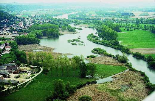 Naturschutzgebiet Donautalwasser Winzerer Letten 1