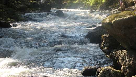 Naturschutzgebiet Obere Ilz 1
