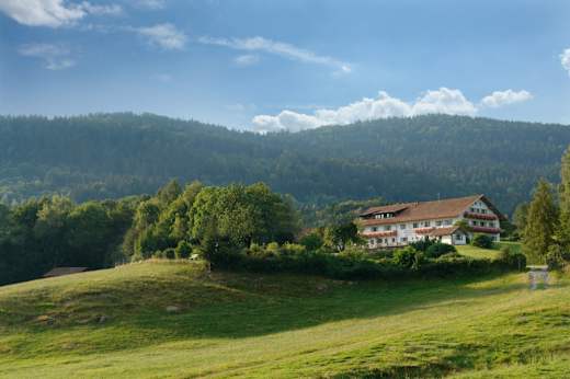 Bernried Wild-Berghof Buchet