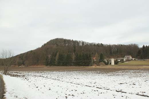 Burgstall Leuenstein 01