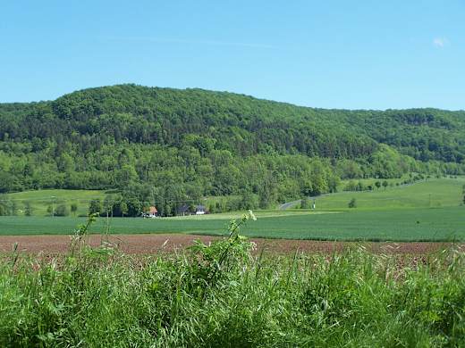 WAK Sattelsberg bei Mieswarts