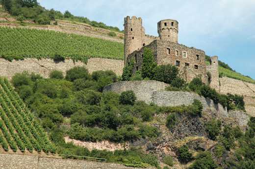 RhineValley BurgEhrenfels