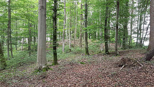 Burg Törring Vorburg