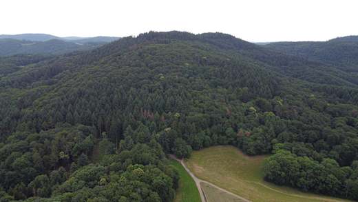 Eichelberg-Odenwald