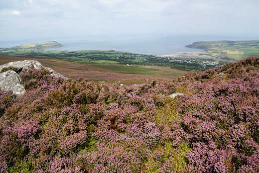 On Carn Ingli - geograph.org.uk - 2577882