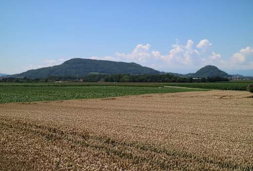 Wildoner Berg 01