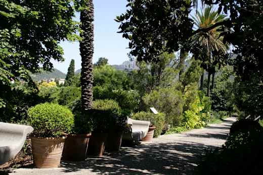 Botanisk have i Sóller 1