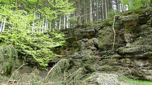 Gleißental Nagelfluhfelsen