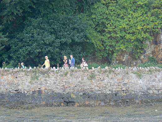 Cliff and path below Bodlondeb Woods - geograph.org.uk - 1466457