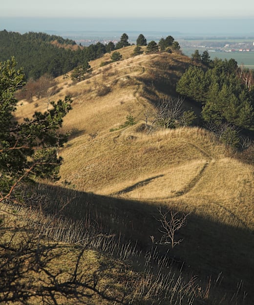 Ziegenberg1