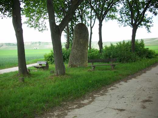 Menhir von Selzen 3