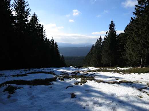 Harz Erdbeerkopf Feb-2015 IMG 4429