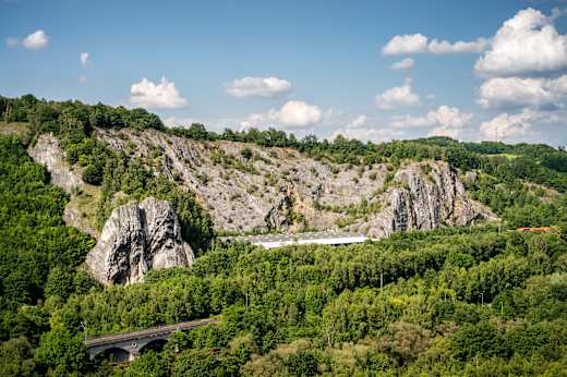 20140626-Naturschutzgebiet Burgberg