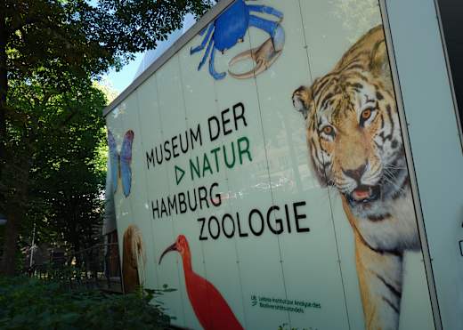 2022 MDN ZOOLOGIE SOMMER LUNCH 0467