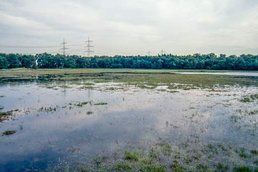 AhlderPool1997