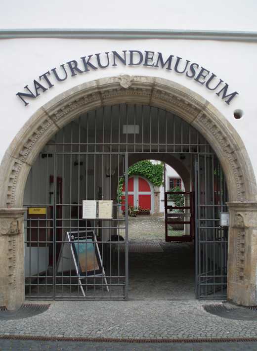 Naturkundemuseum Erfurt Eingang