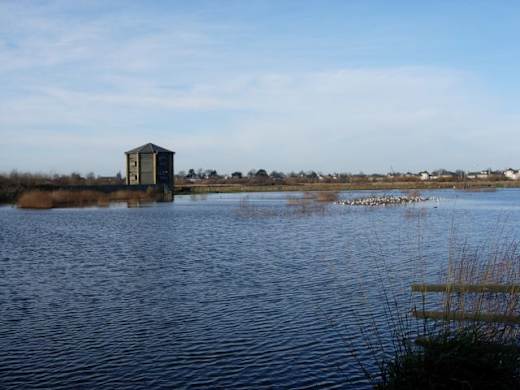 Tower Hide, London Wetlands Centre - geograph.org.uk - 305442