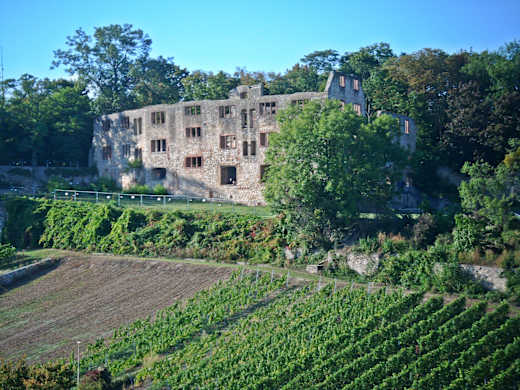 Oppenheim Burg Landskron