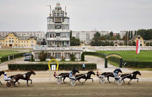 Vienna - Trotting racing stadium Krieau - 6631