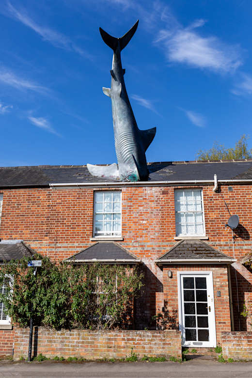 20210418 Headington Shark-2
