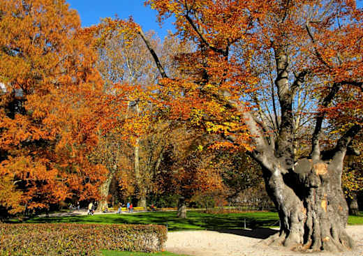 IA Hofgarten A