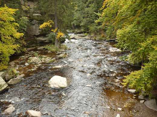Zemská brána - Divoká Orlice z mostu