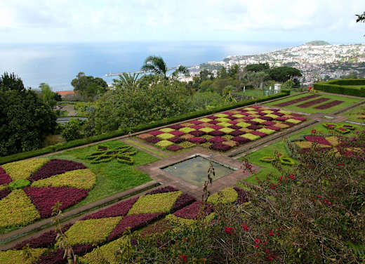 Botanical garden madeira hg