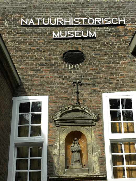 Natuurhistorisch Museum Maastricht