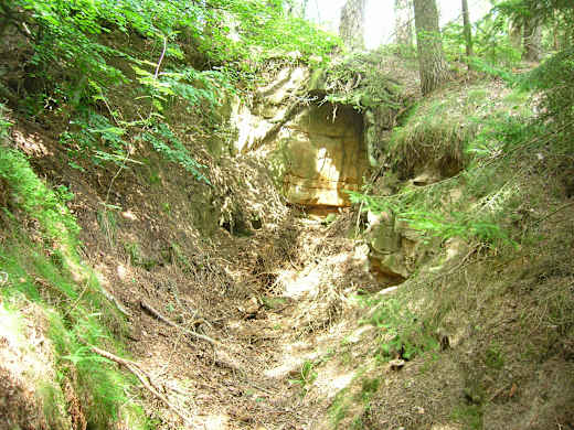 Burgstall Kandelberg01