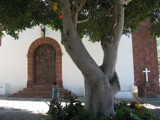 Tagana Square-Tenerife