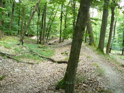 Hünerberg (Taunus)