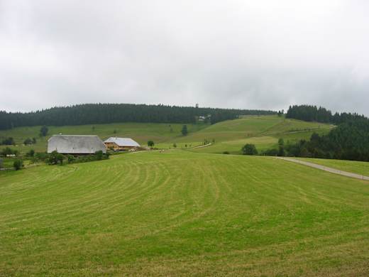 Rohrhardsberg1