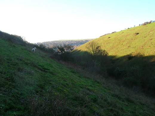 The Coombe, Malling Down Nature Reserve - geograph.org.uk - 292081