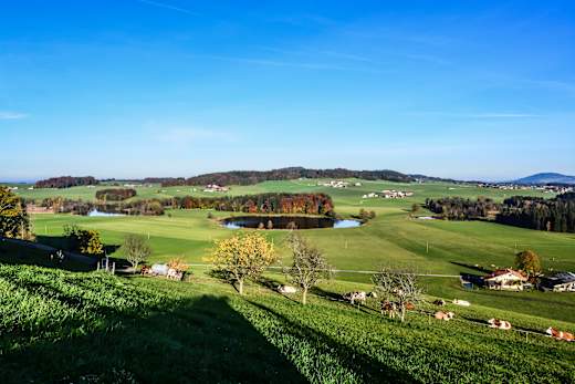 Egelseen Mattsee Österreich