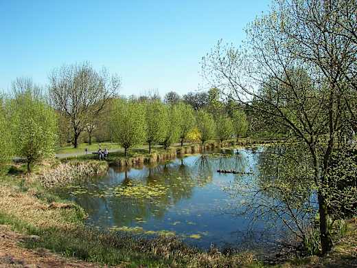 Neuer Botanischer Garten - Teich 002