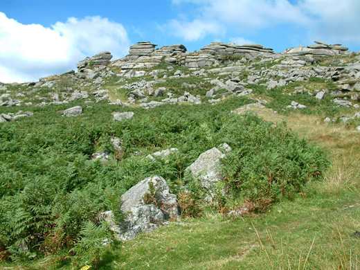 Kilmar Tor - geograph.org.uk - 7112