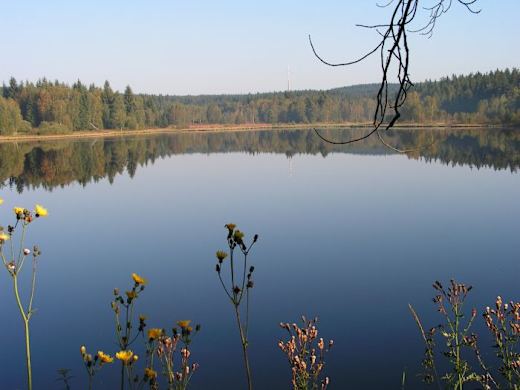 Schwarzer Teich bei Elterlein