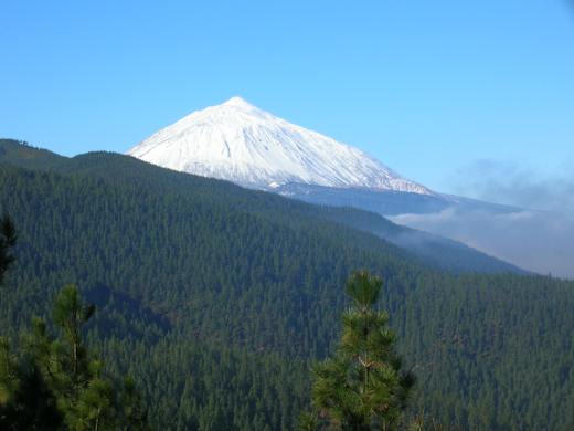 Pinar y Teide