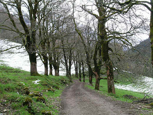 Dietersbachtal