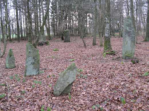 Gryet Bautasteine 2013-12 004