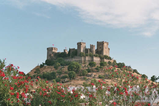 Castillo de Almodóvar del Río 2009