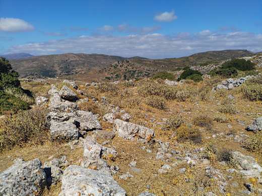 Ancient Hyrtacina 13
