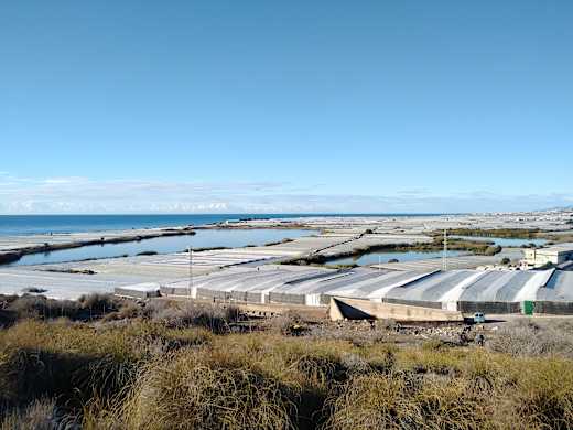 Albufera de Adra en 2020 03