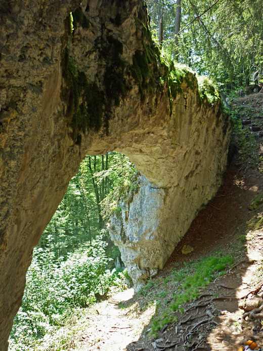 Judenkirche-tiefenbach-arch