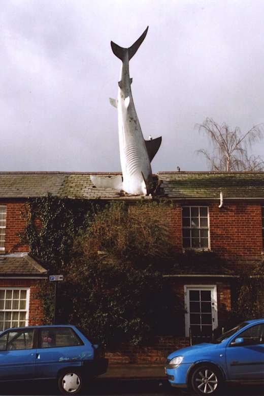 Headingtonsharkfront