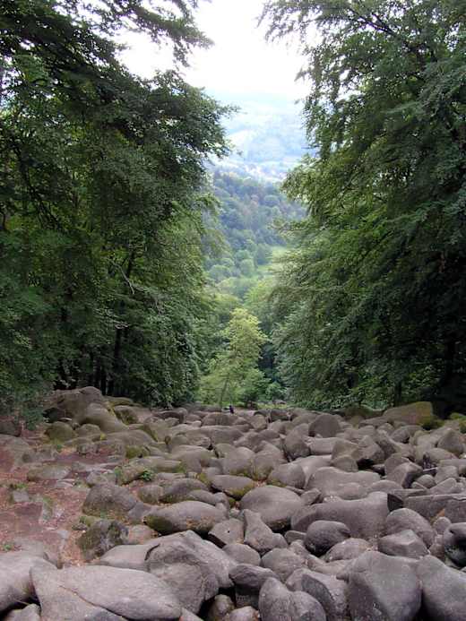 Felsenmeer reichenbach 01